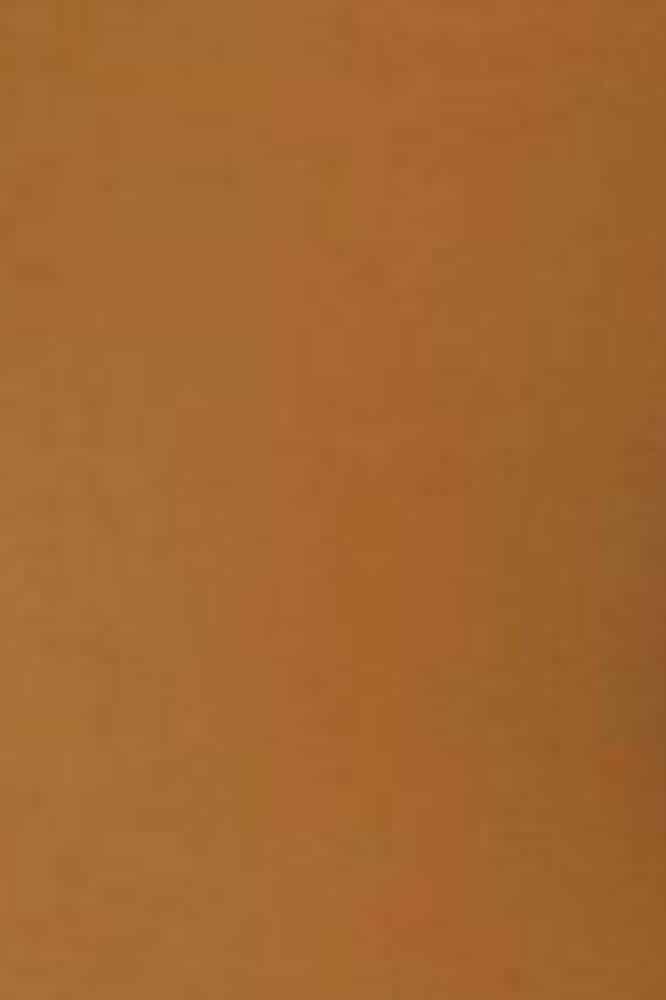 Sneaky Fox Ingrid Recycled micro 60 PH Bronze