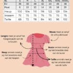 Seasalt Cornwall Tide Flow Trouser Pine - La Vie en Rose Damesmode