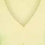 Zilch Cardigan Short Fresh Lemon - La Vie en Rose Damesmode (1)