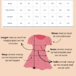 Seasalt Cornwall Polmanter Dress Linear Leaves Maritime - La Vie en Rose Damesmode