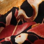 King Louie Maisie Blouse Neve Black - La Vie en Rose Damesmode